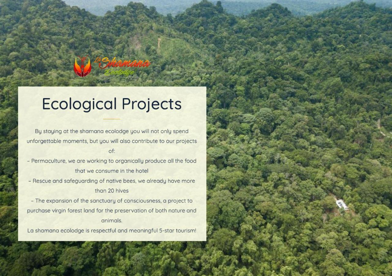 La Shamana - Ecological Concept In Jungle Villa Cahuita Eksteriør billede
