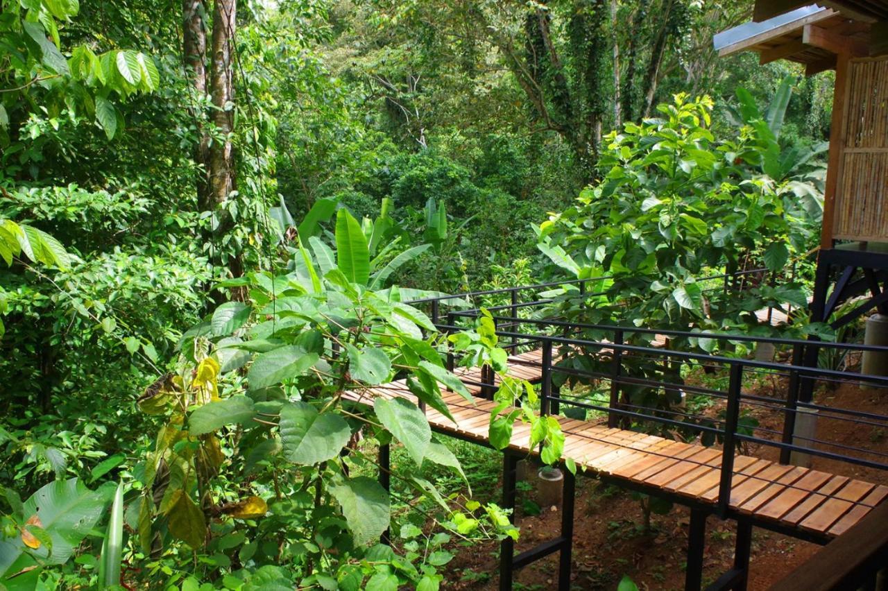 La Shamana - Ecological Concept In Jungle Villa Cahuita Eksteriør billede