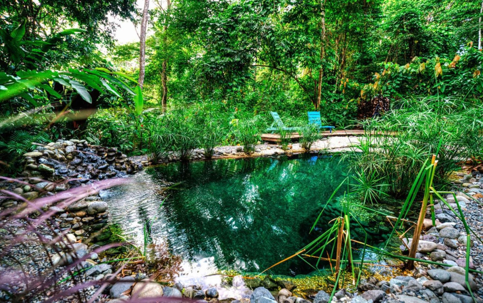 La Shamana - Ecological Concept In Jungle Villa Cahuita Eksteriør billede