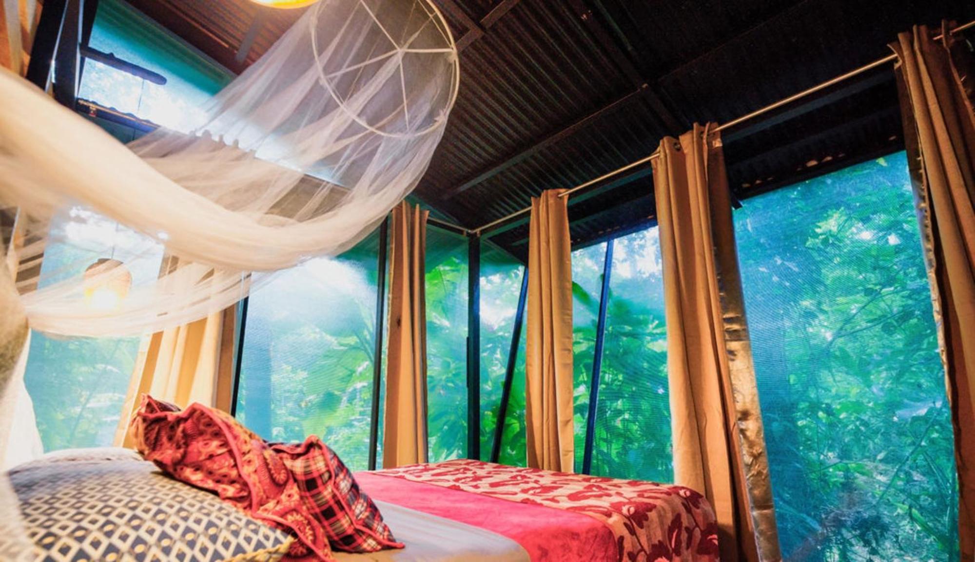 La Shamana - Ecological Concept In Jungle Villa Cahuita Værelse billede