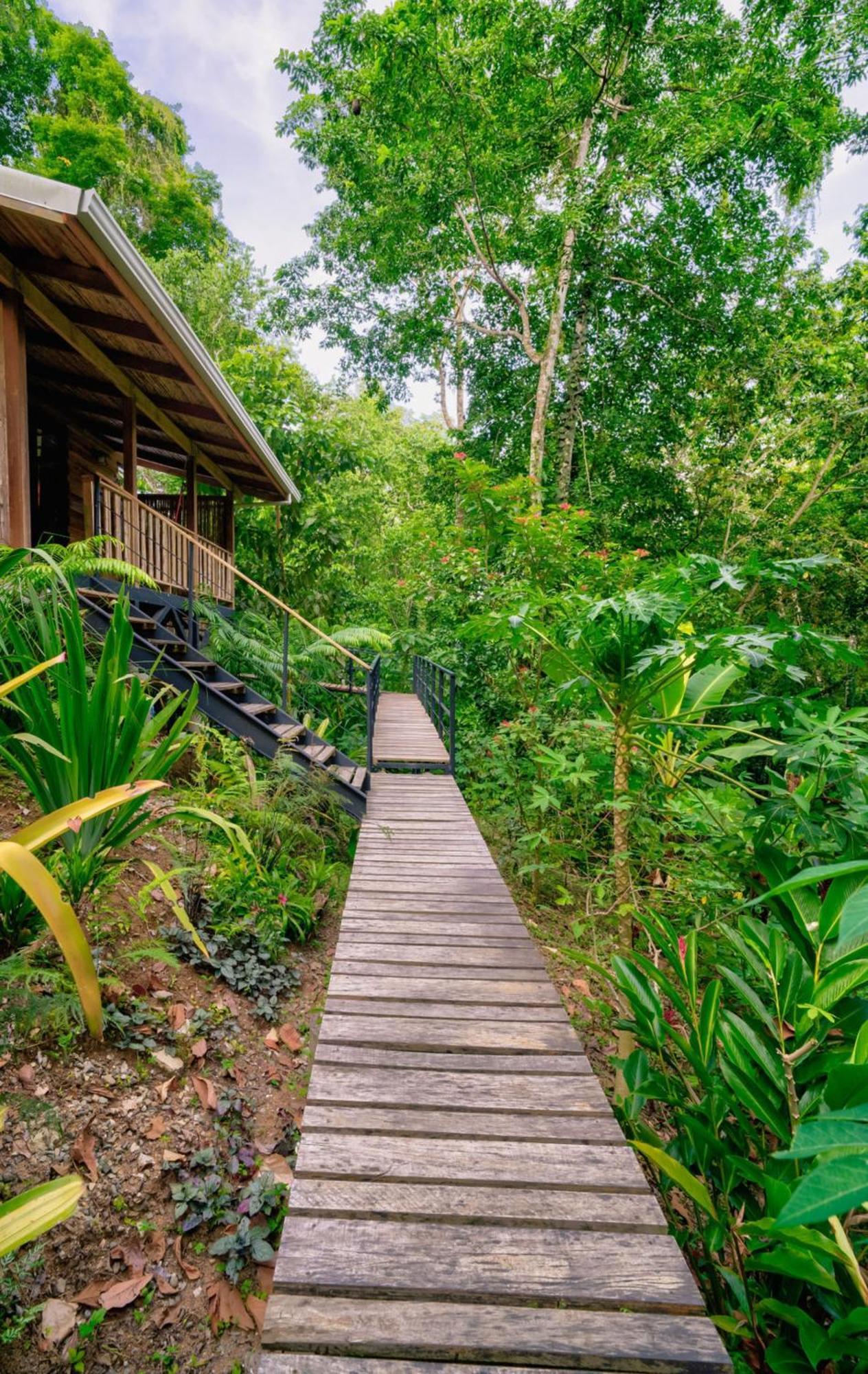 La Shamana - Ecological Concept In Jungle Villa Cahuita Eksteriør billede