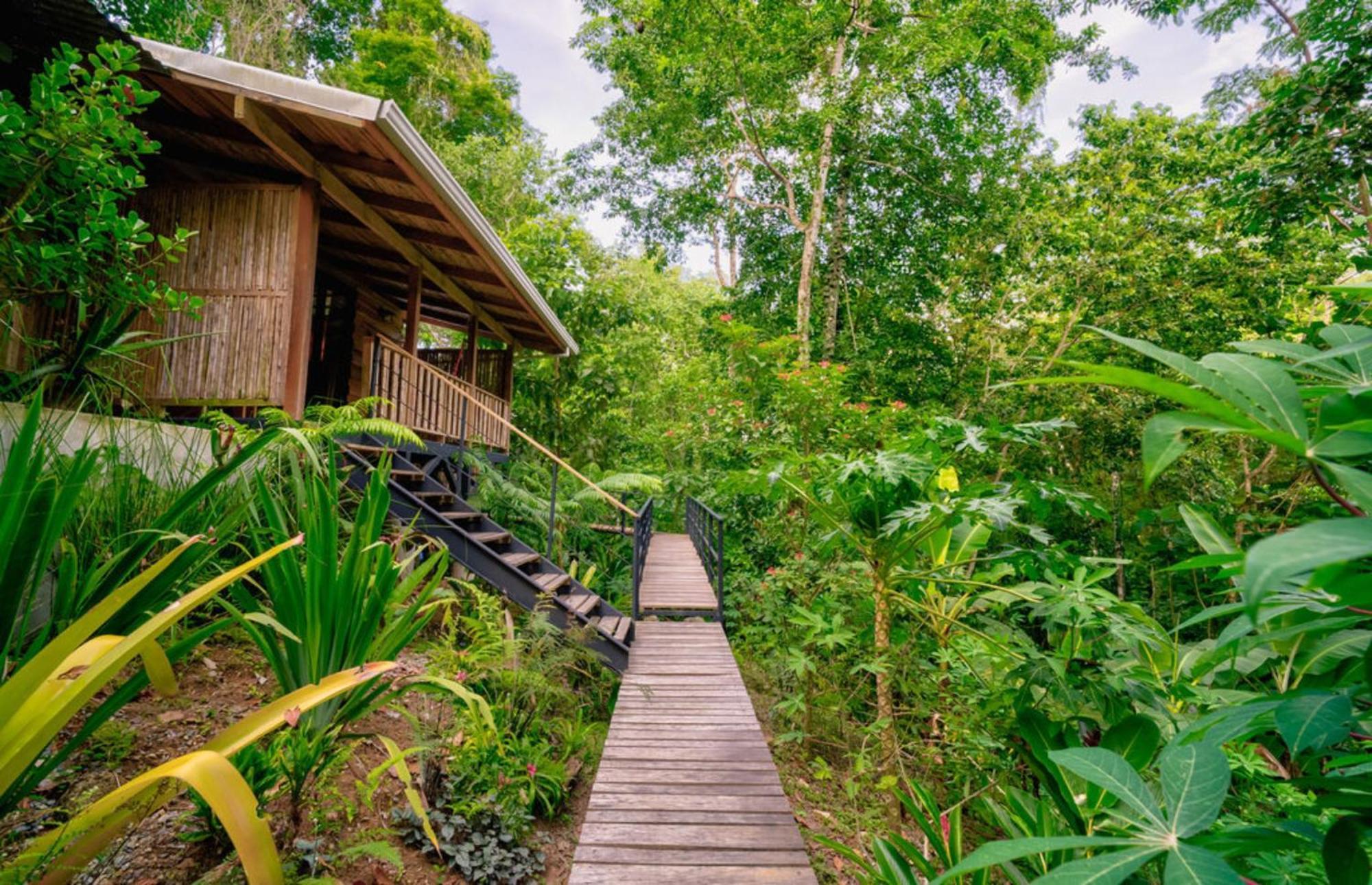 La Shamana - Ecological Concept In Jungle Villa Cahuita Værelse billede