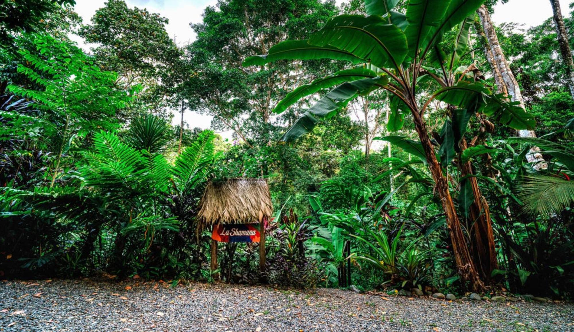 La Shamana - Ecological Concept In Jungle Villa Cahuita Eksteriør billede