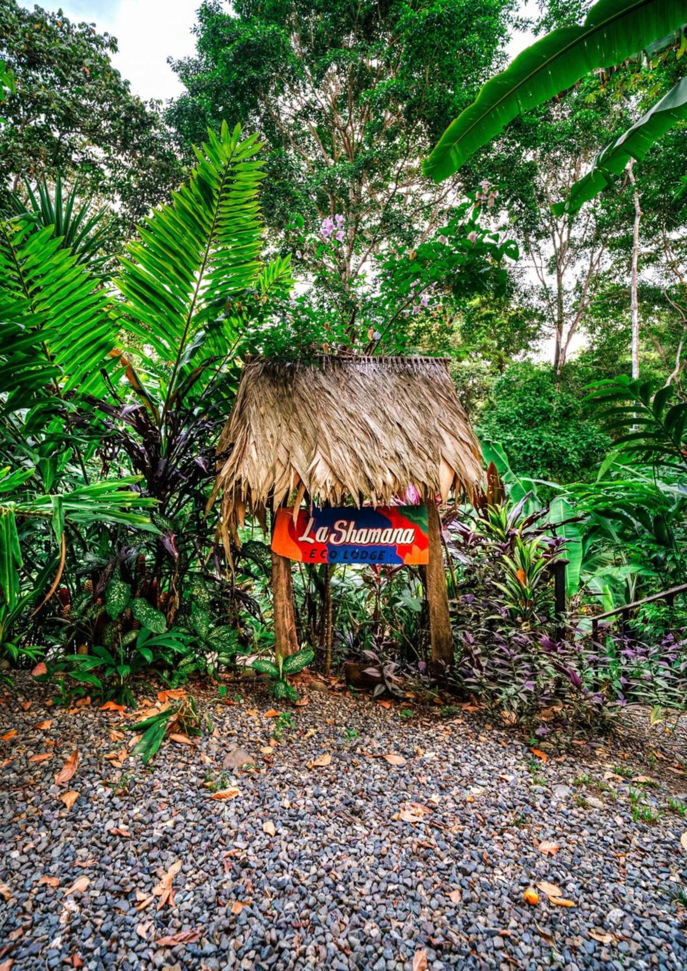 La Shamana - Ecological Concept In Jungle Villa Cahuita Eksteriør billede