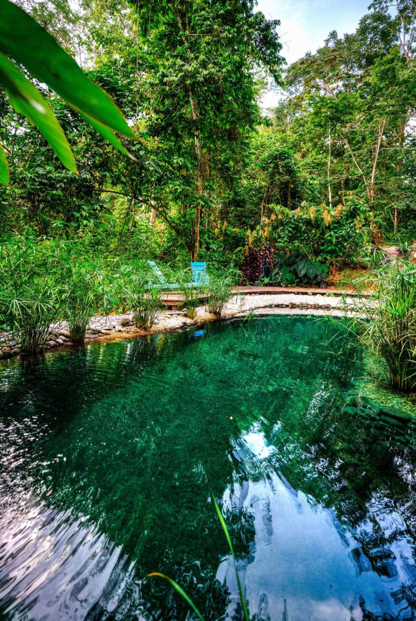 La Shamana - Ecological Concept In Jungle Villa Cahuita Eksteriør billede