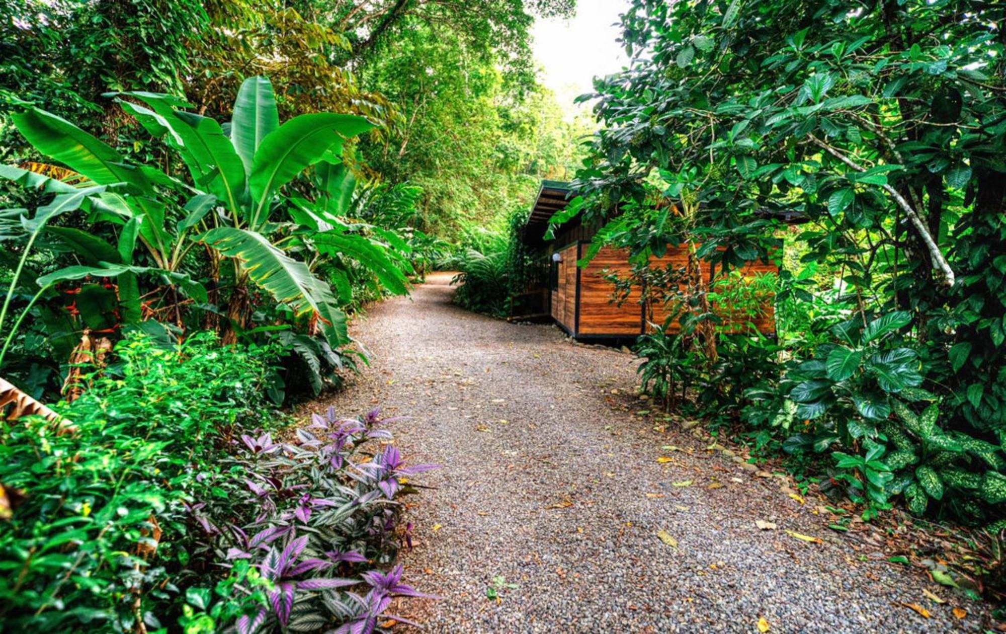 La Shamana - Ecological Concept In Jungle Villa Cahuita Eksteriør billede