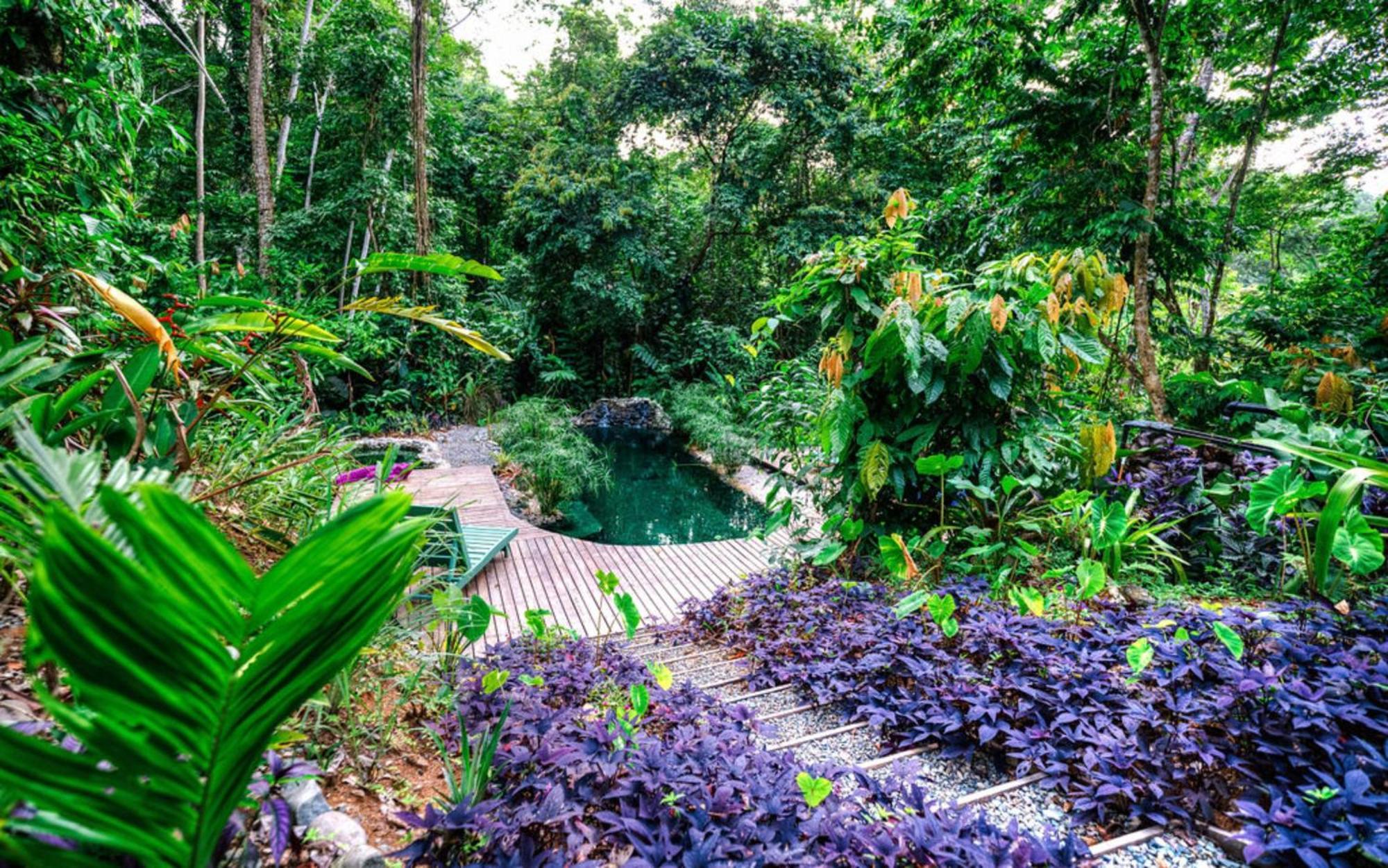 La Shamana - Ecological Concept In Jungle Villa Cahuita Eksteriør billede