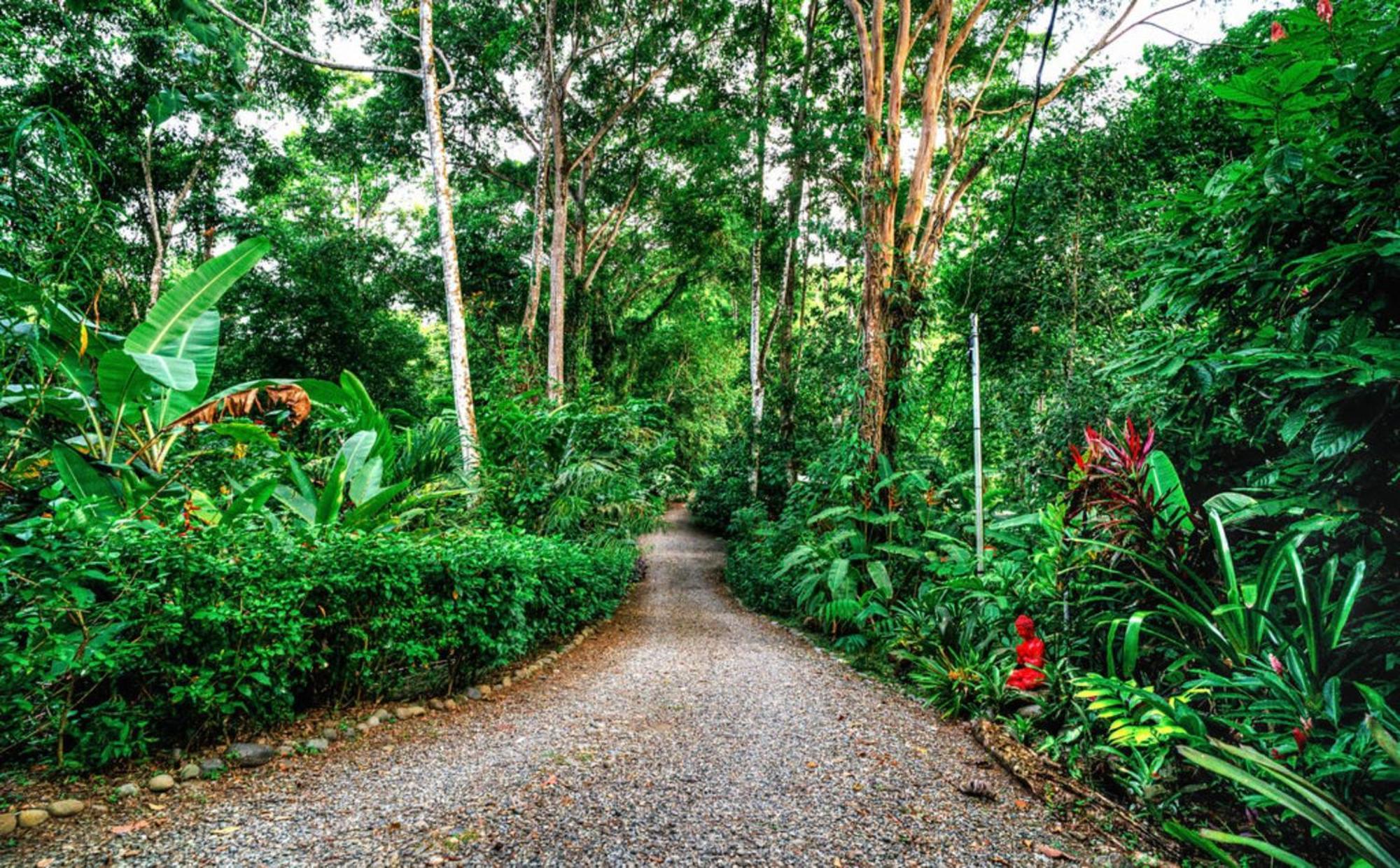 La Shamana - Ecological Concept In Jungle Villa Cahuita Eksteriør billede