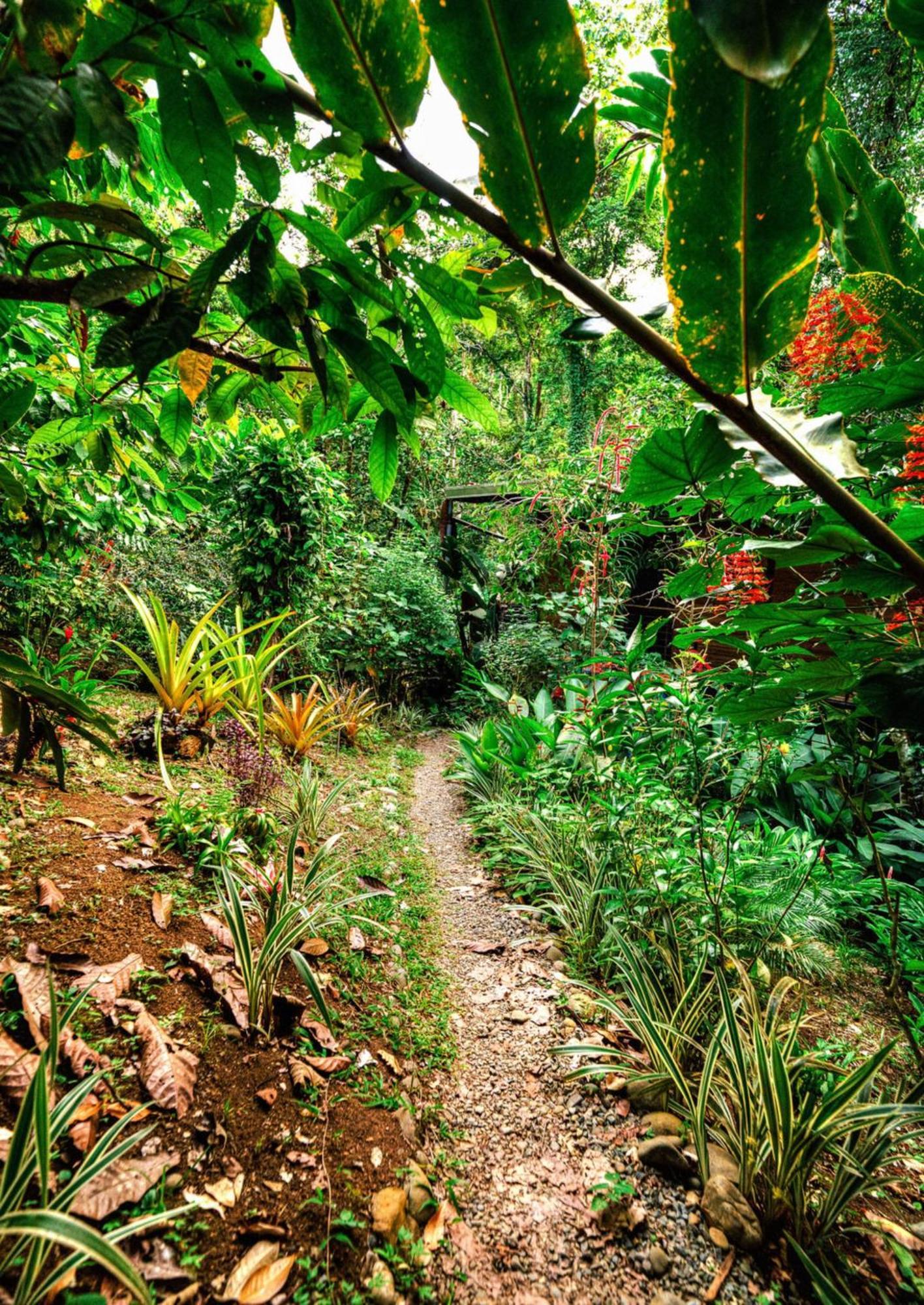 La Shamana - Ecological Concept In Jungle Villa Cahuita Eksteriør billede