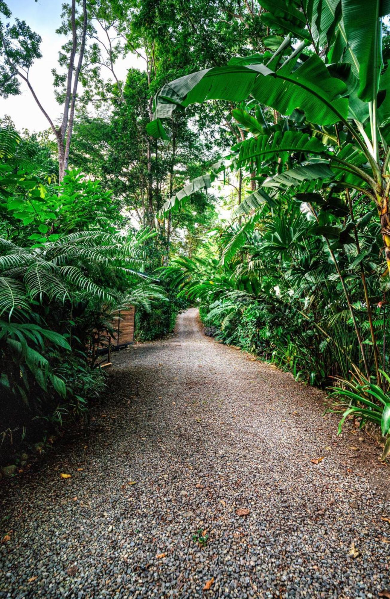 La Shamana - Ecological Concept In Jungle Villa Cahuita Eksteriør billede